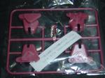 DSC01478.JPG