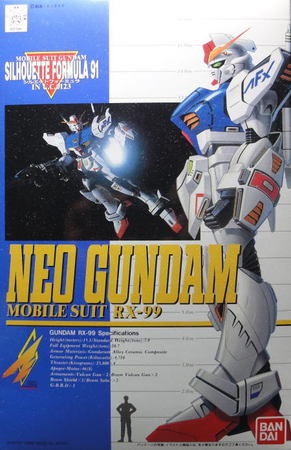 1/100 HGSF05 RX-99 NEO GUNDAM: 立体物