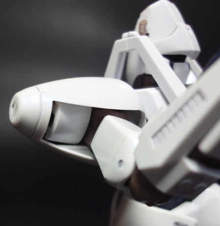 HGLGAIM08.JPG