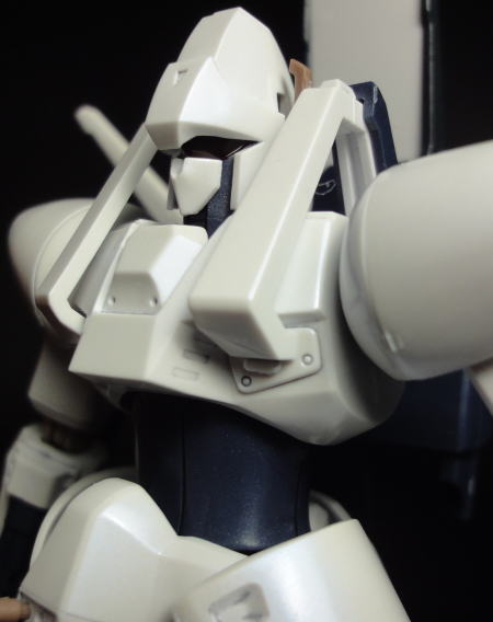 HGLGAIM11.JPG