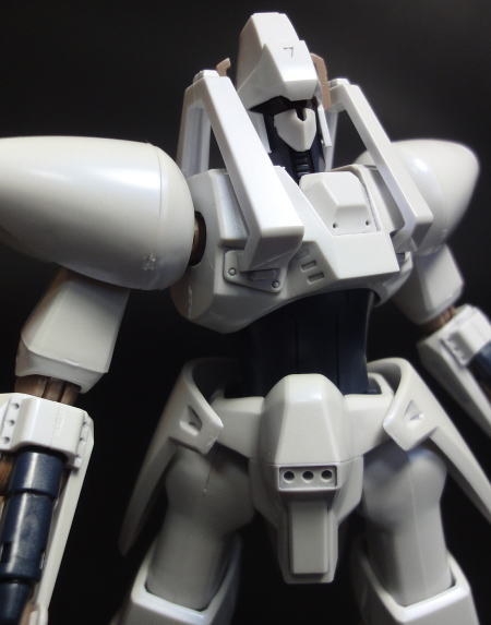 HGLGAIM12.JPG