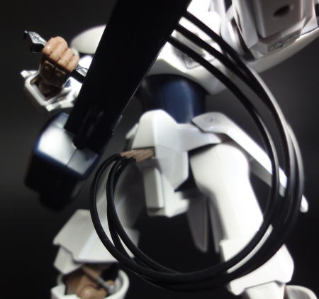 HGLGAIM17.JPG