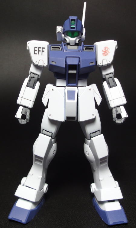 HGUCRGM79SPwd01.JPG