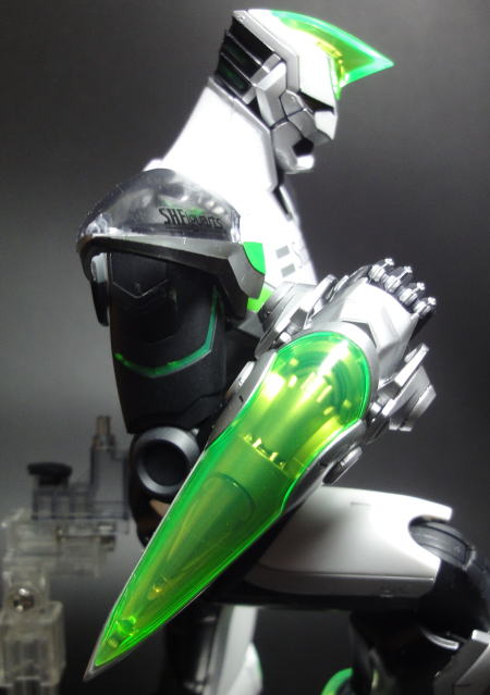 MGWILDTIGER07.JPG