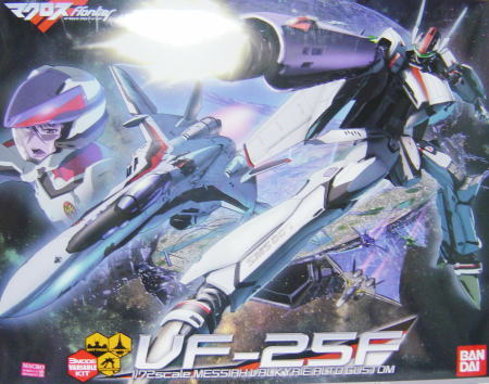 VF25F00.JPG